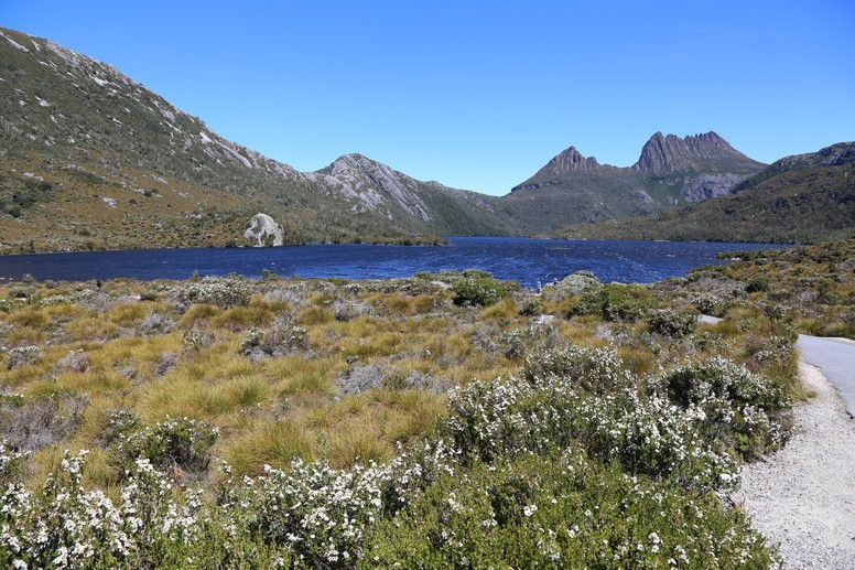 Dove lake